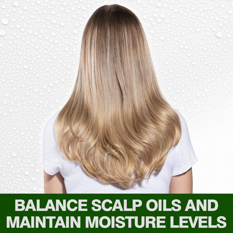 CHI Tea Tree Oil Shampoo