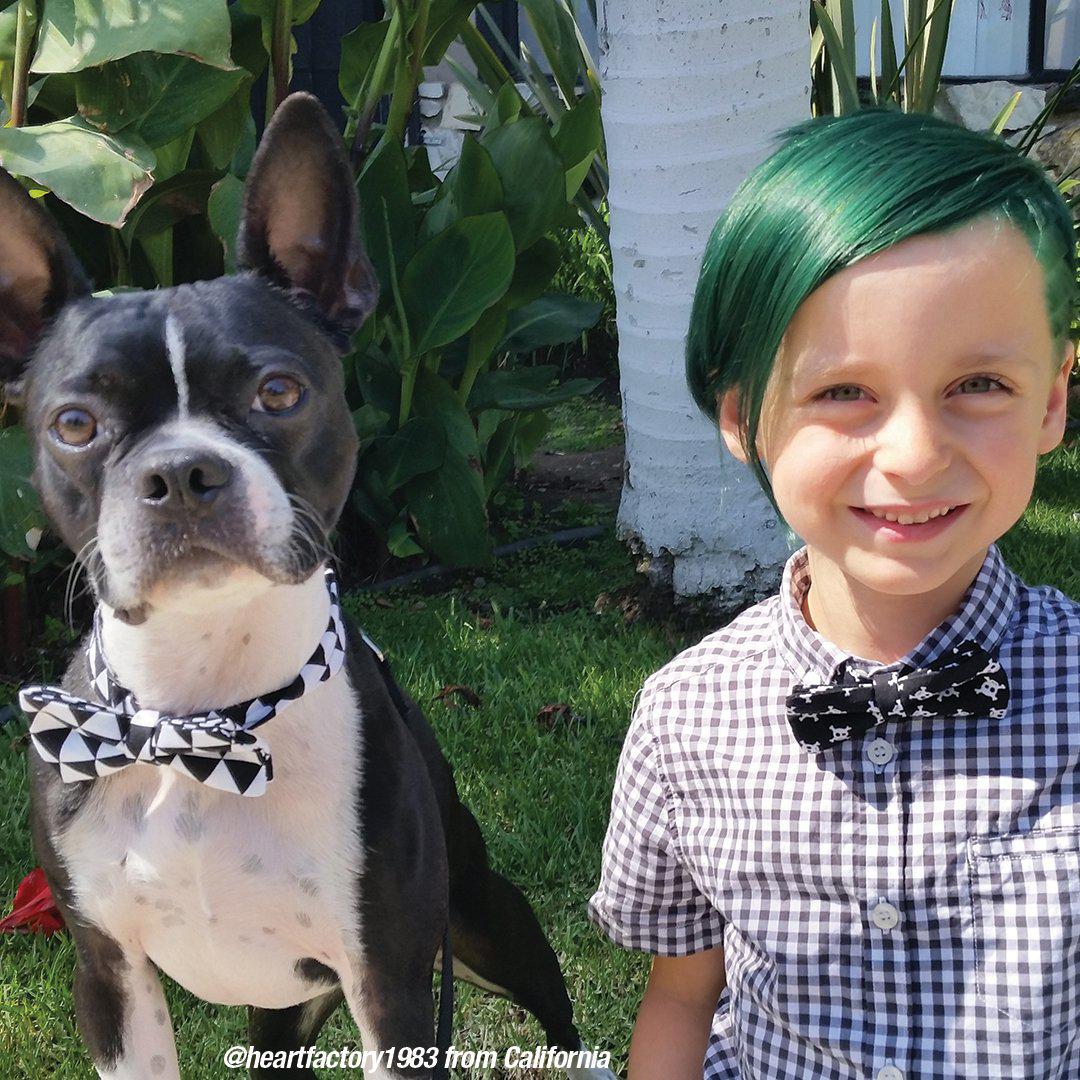 Green Envy – Colore semi-permanente Classic High Voltage®